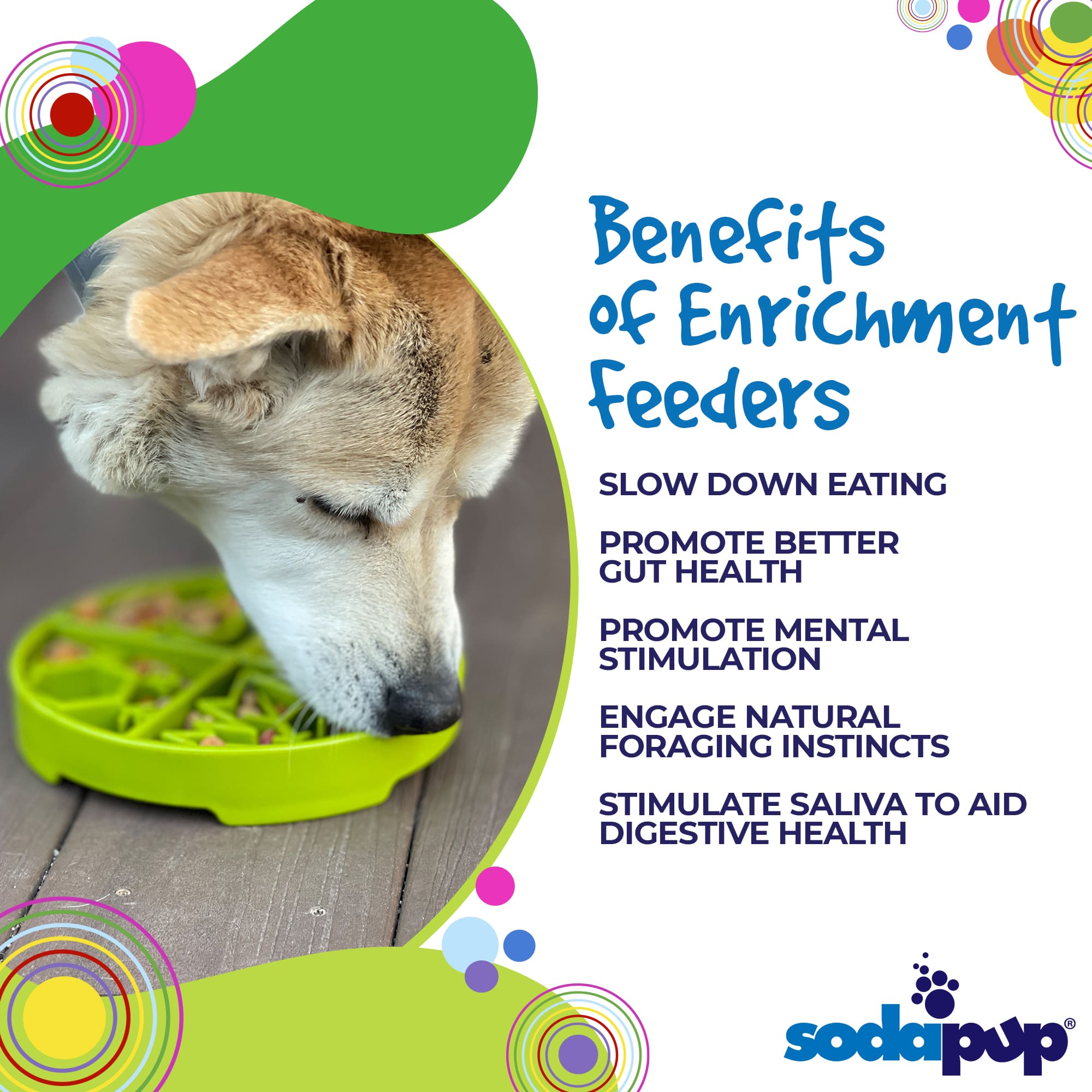 SodaPup® Four Seasons eTray | Shallow Slow Feeder for Flat-Faced Dogs