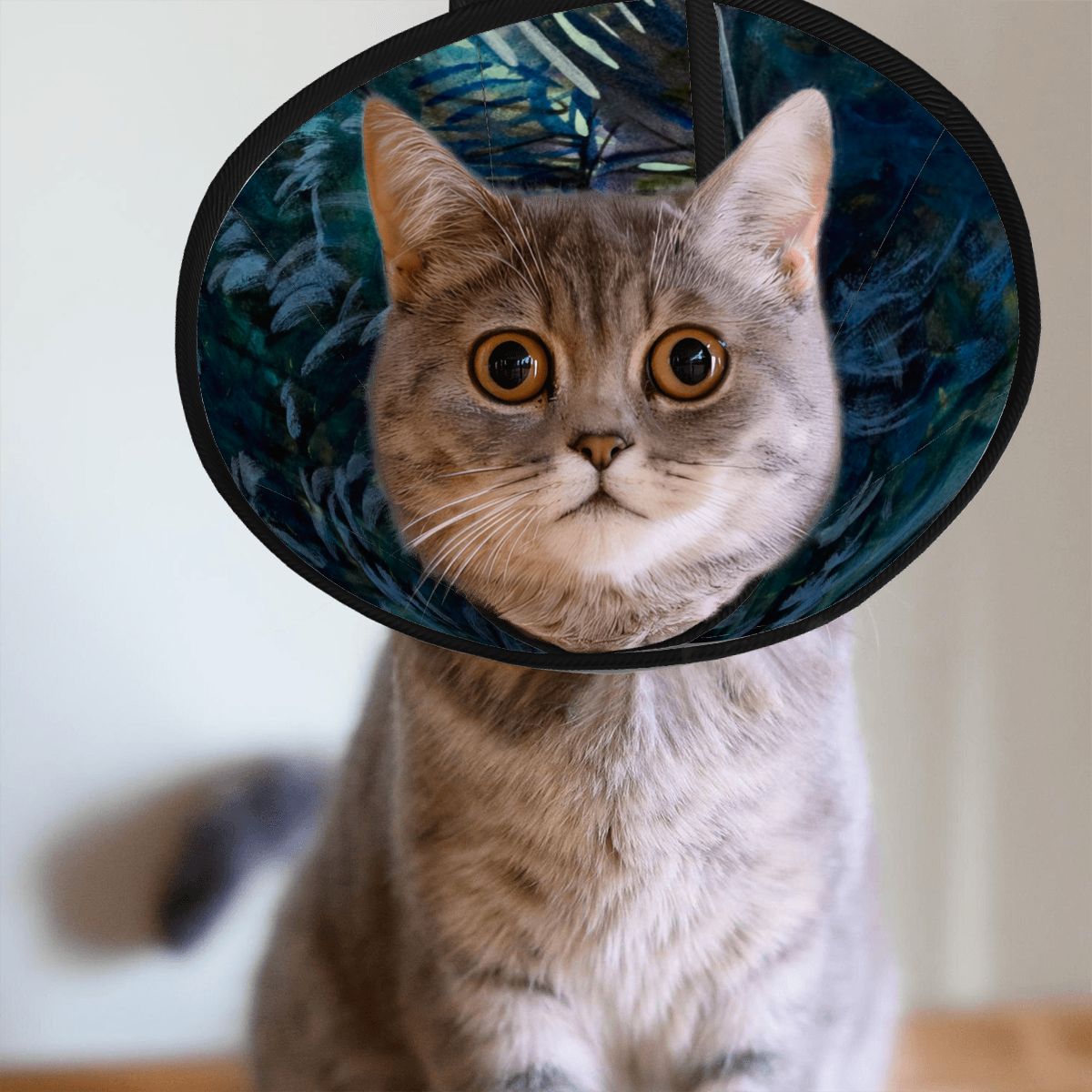 Sebastian & Clementine After-Glow Pet Elizabethan Collar