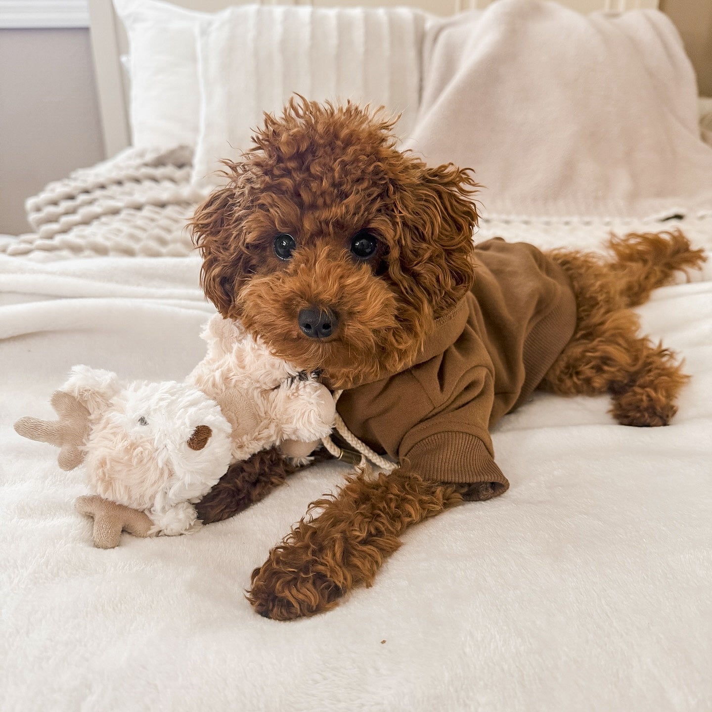 Fur Elise Vixi Plush Toy Set