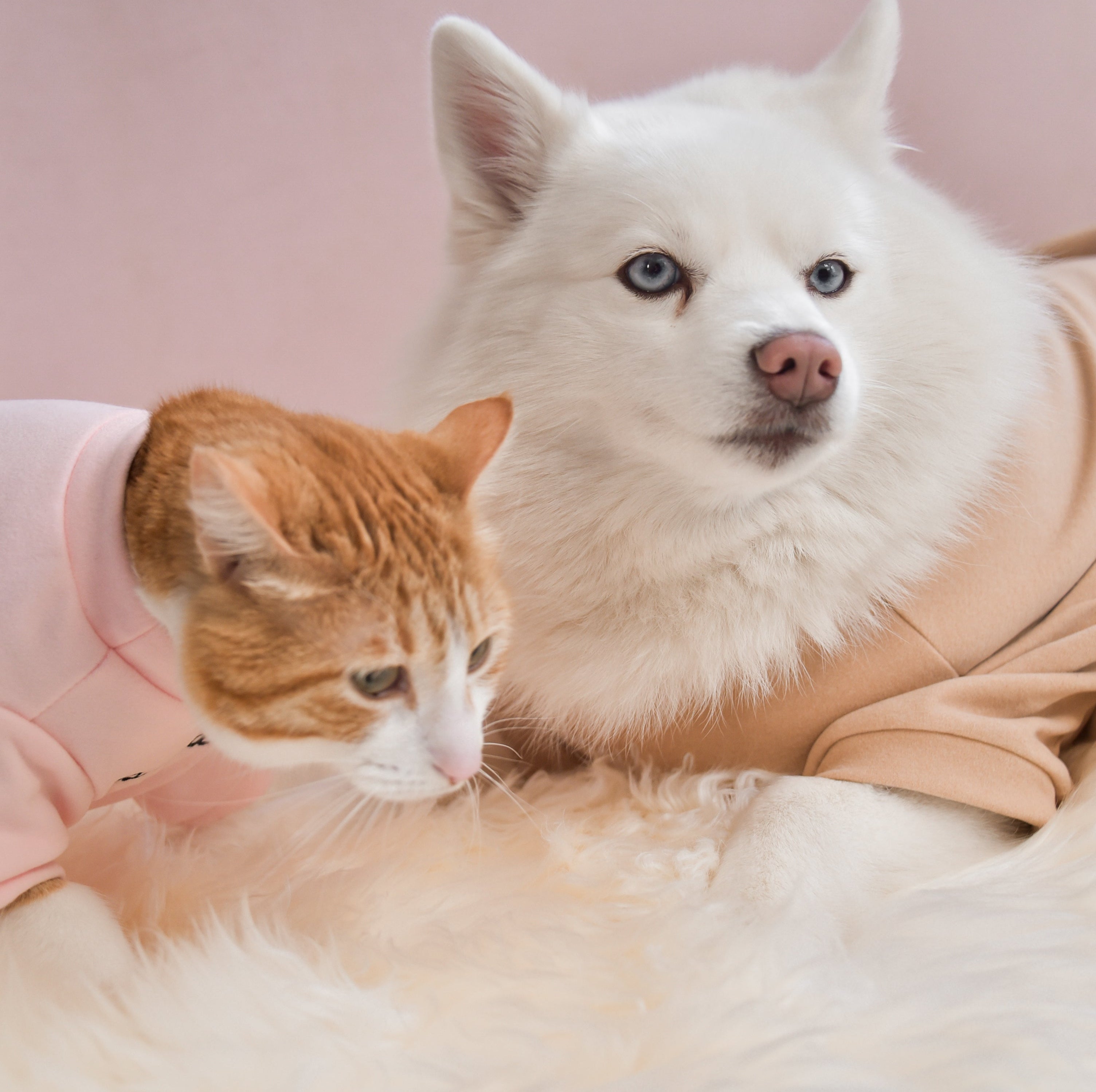 Fur Elise Mock Neck Shirt - Latte