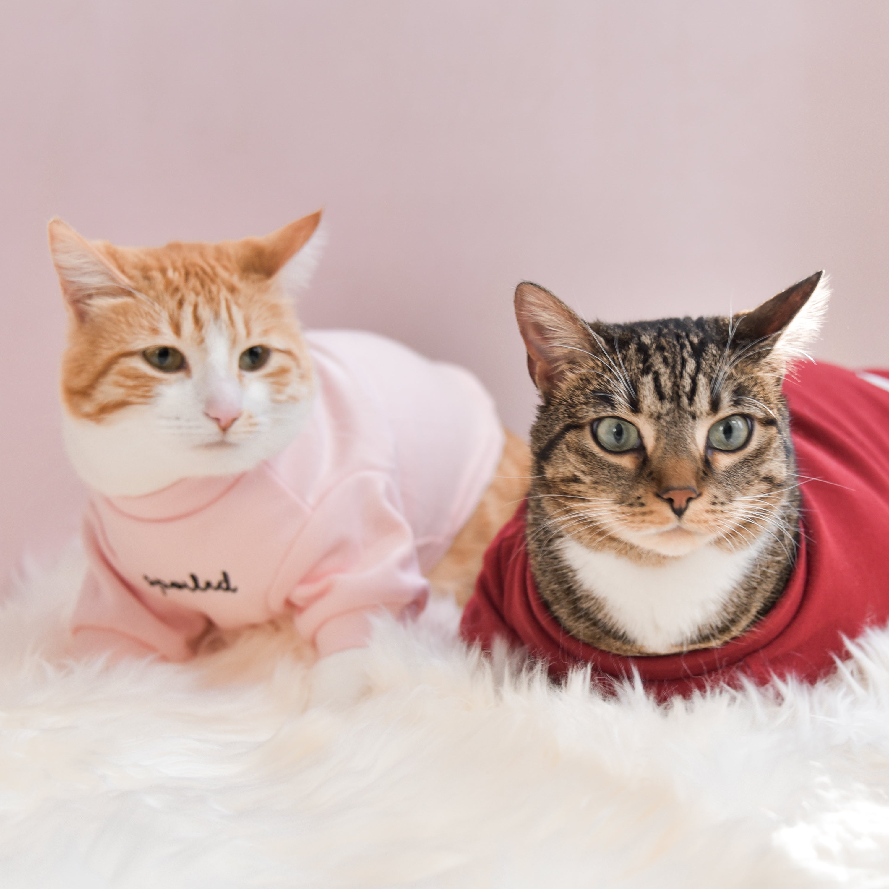 Fur Elise Mock Neck Shirt - Lucky