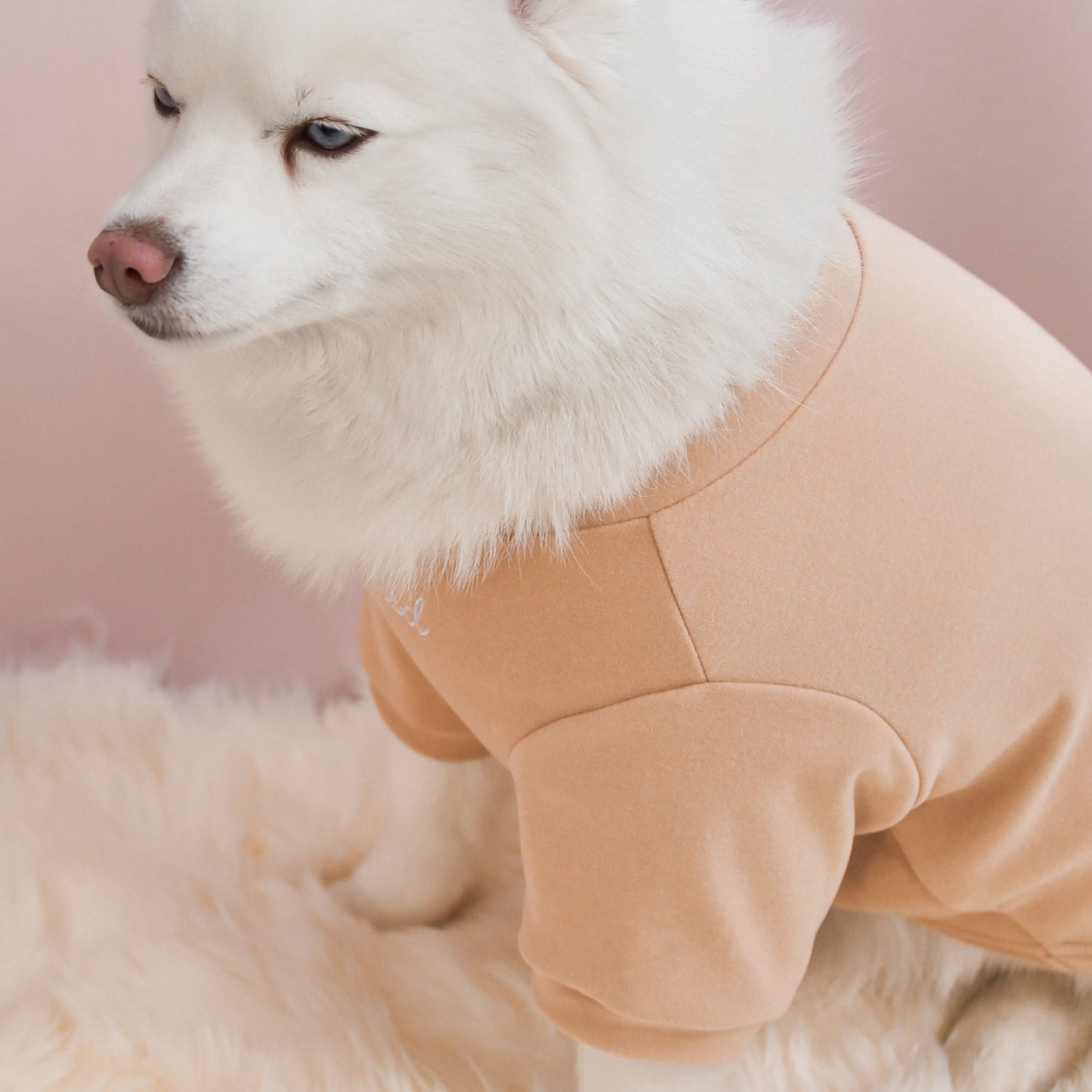 Fur Elise Mock Neck Shirt - Latte