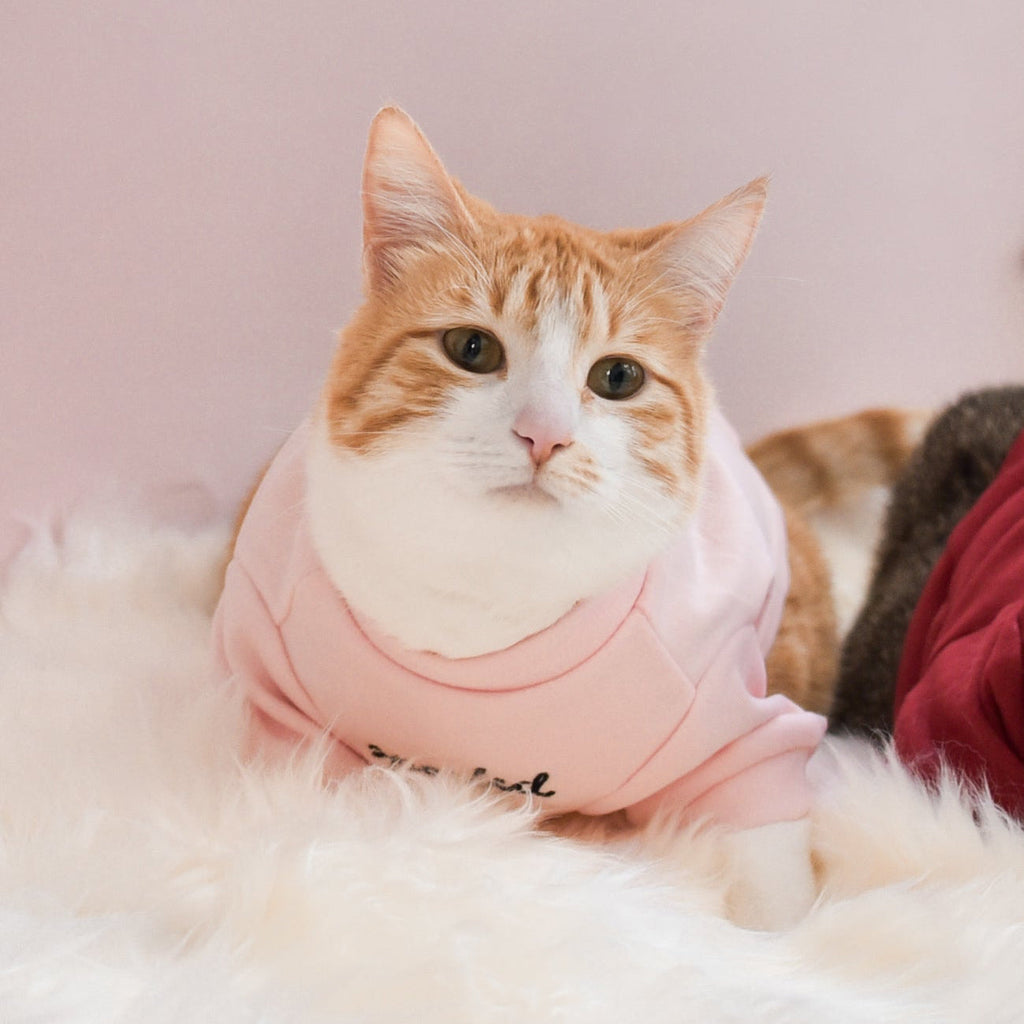 Fur Elise Mock Neck Shirt - Blush