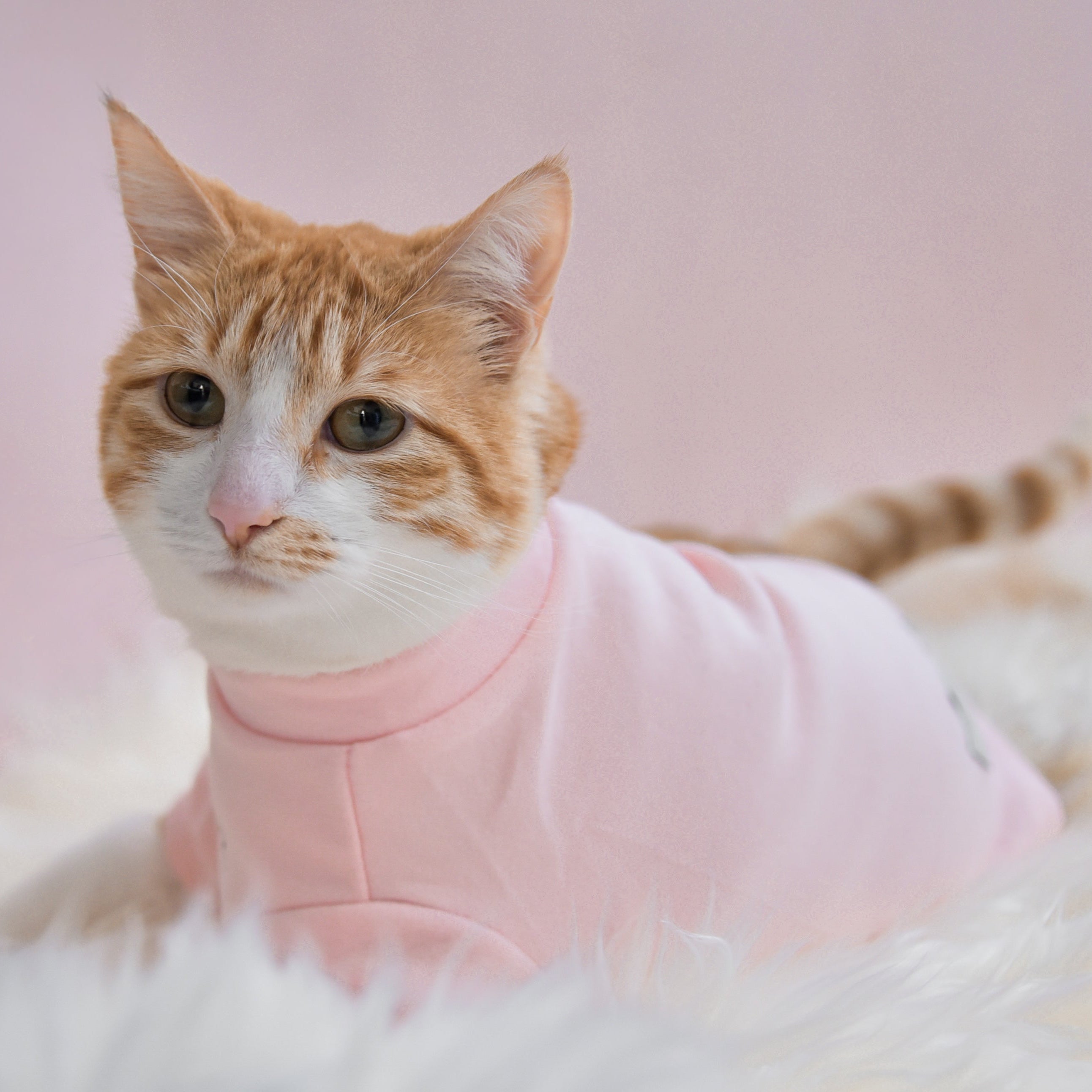 Fur Elise Mock Neck Shirt - Blush