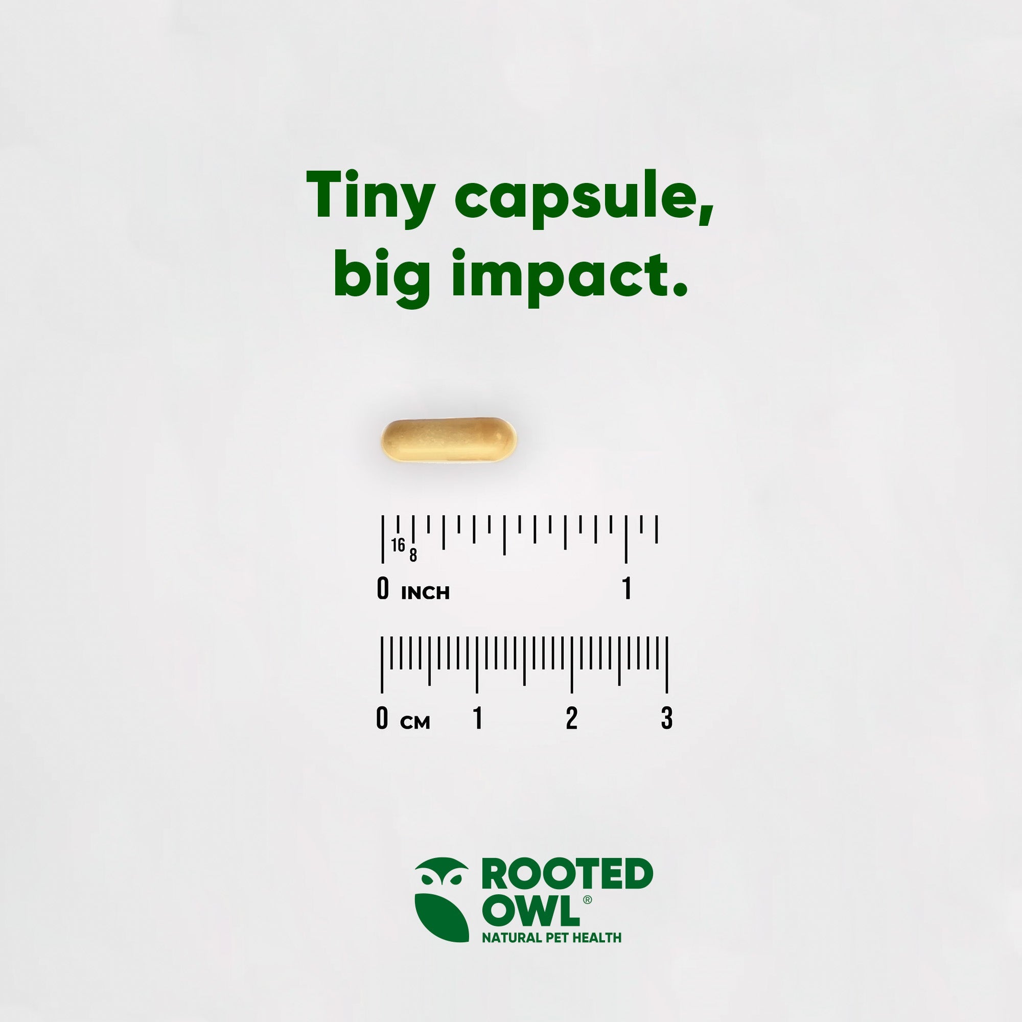 Rooted Owl® Liver Support