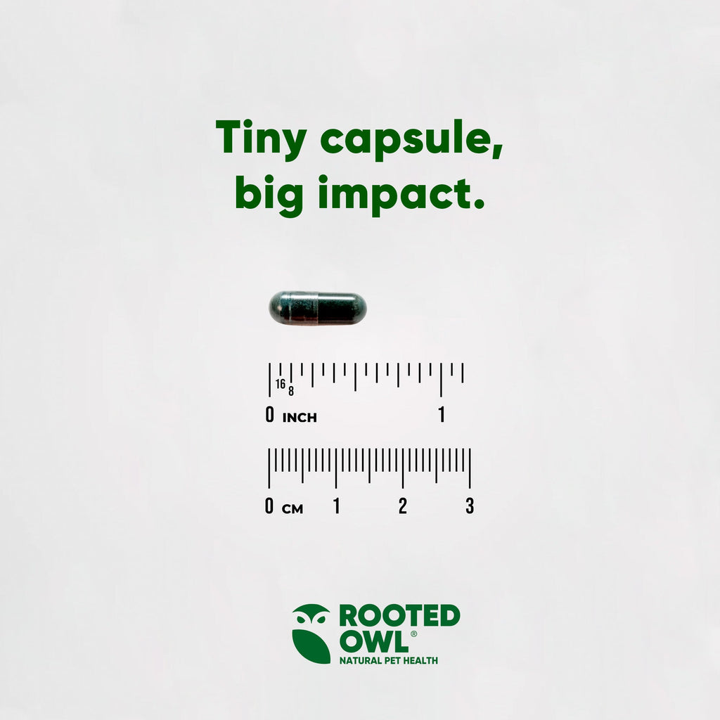 Rooted Owl® Spirulina & Chlorella
