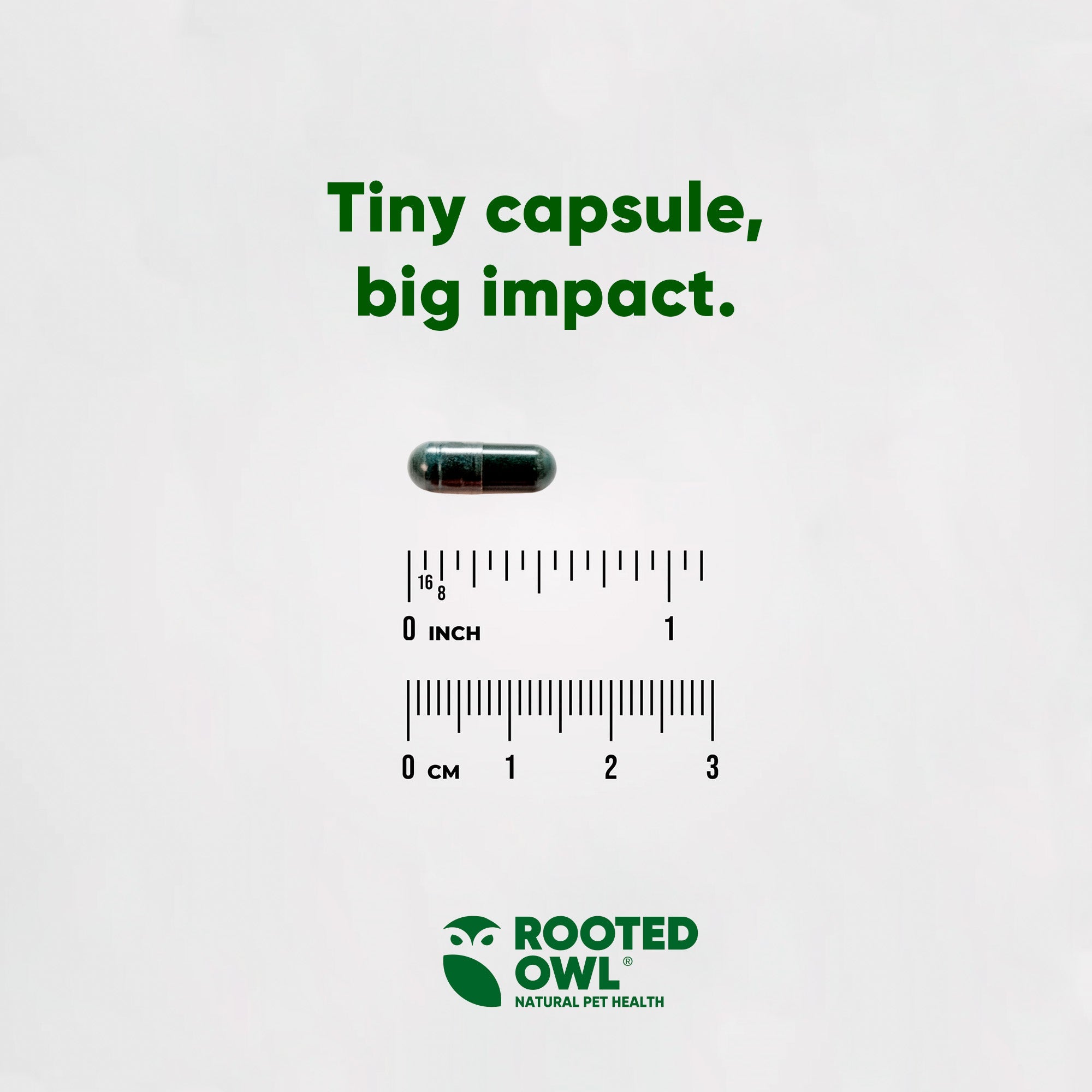 Rooted Owl® Spirulina & Chlorella