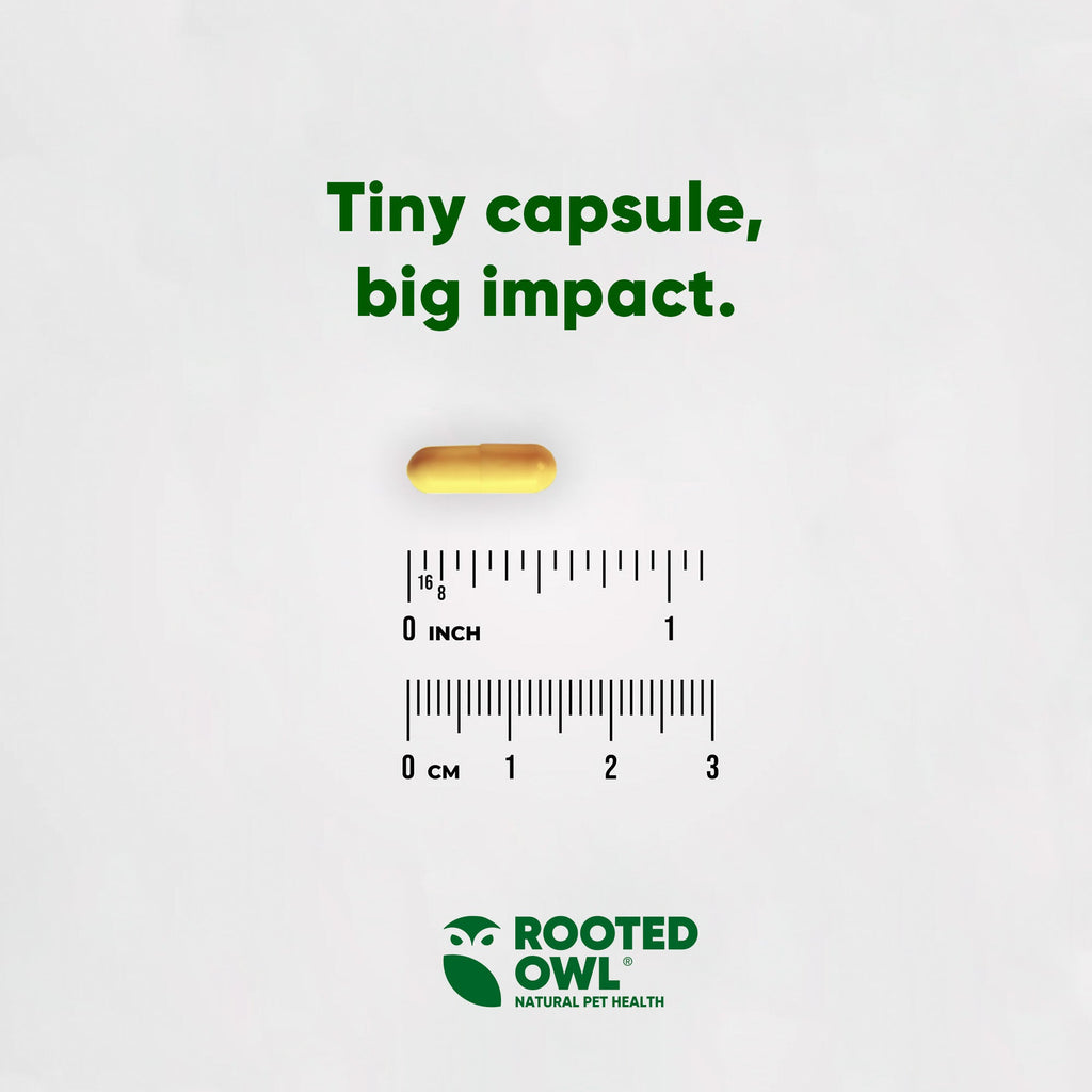 Rooted Owl® Turmeric