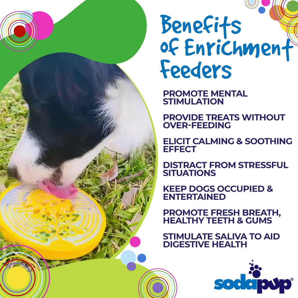 SodaPup® Earth eCOIN | Durable Nylon Lick & Chew Enrichment Toy for Dogs