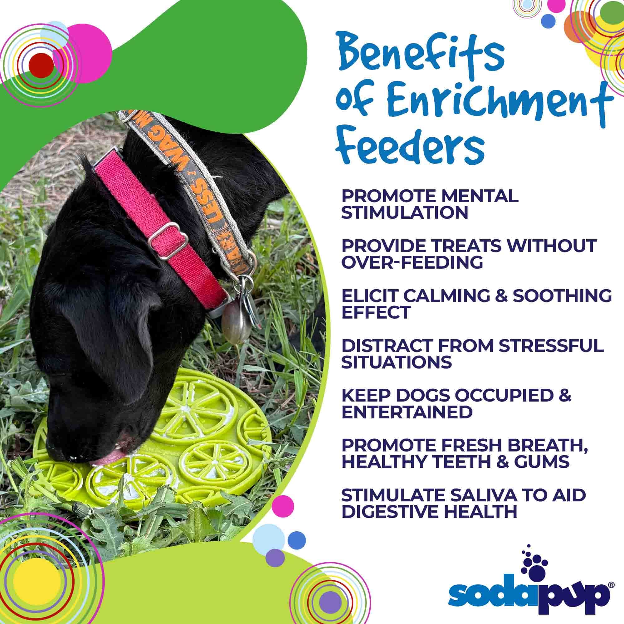 SodaPup® Citrus Design eMat - Enrichment Lick Mat For Dogs and Cats - with Suction Cups | USA Made