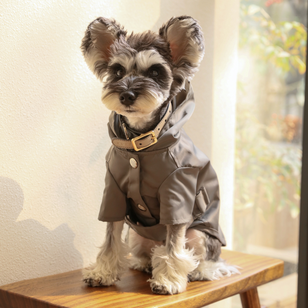 Pehom | Bowery Raincoat - Gray