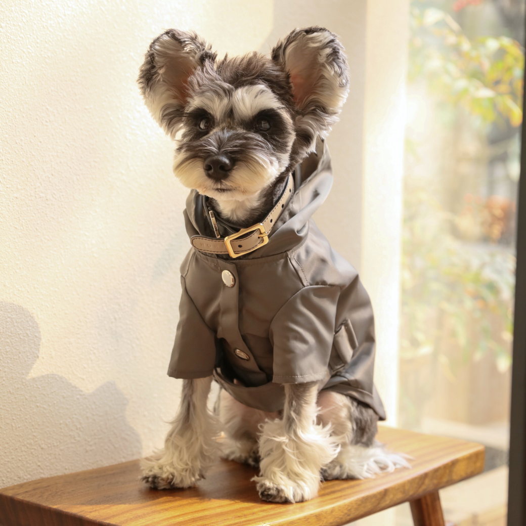 Pehom | Bowery Raincoat - Gray