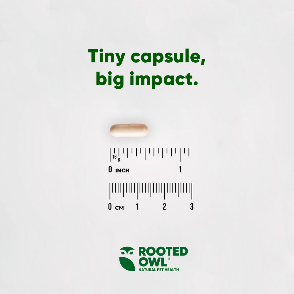Rooted Owl® Joint & Muscle Health (Cats & Small Dogs)