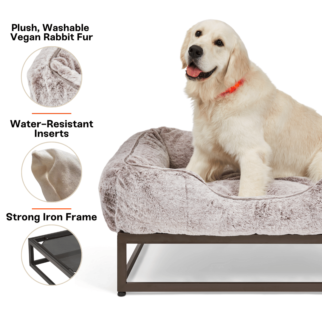The FÜZI Pet Bed