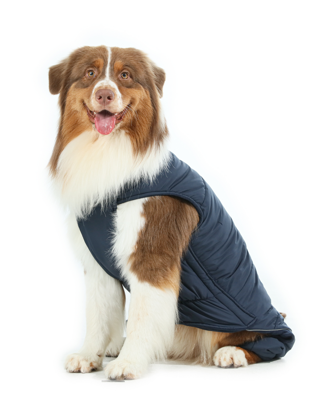 Pehom | Reversible Dog Vest Jacket - Blue