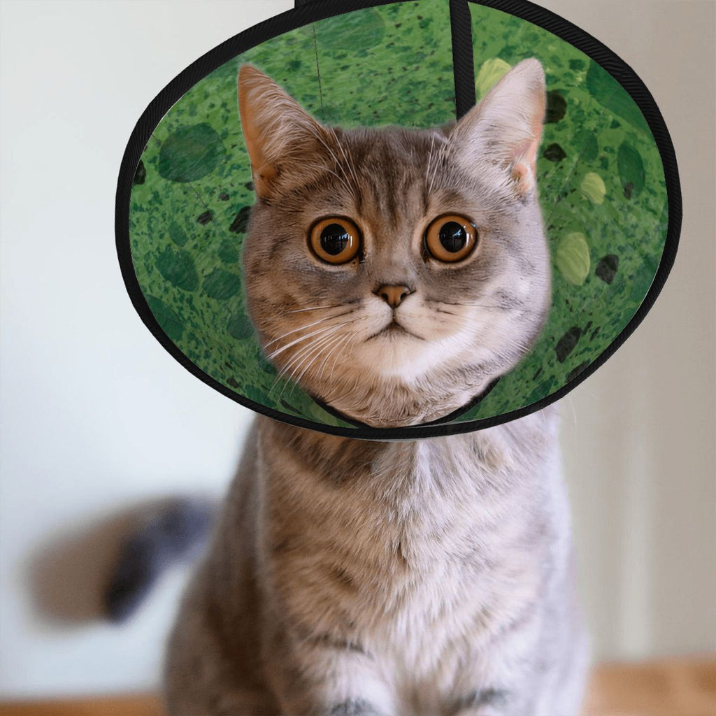 Sebastian & Clementine Green Painting Pet Elizabethan Collar