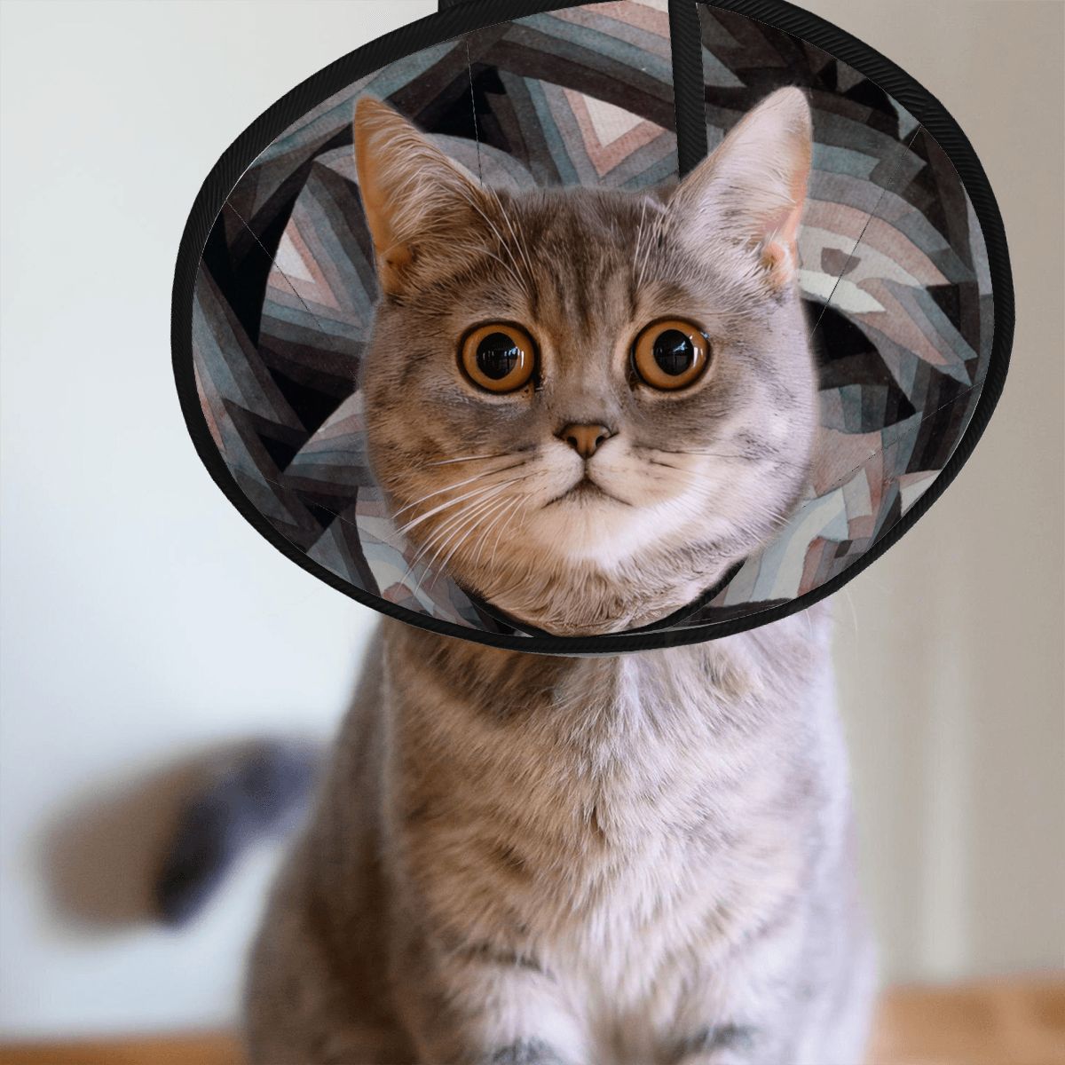 Sebastian & Clementine Crystal Gradation Pet Elizabethan Collar