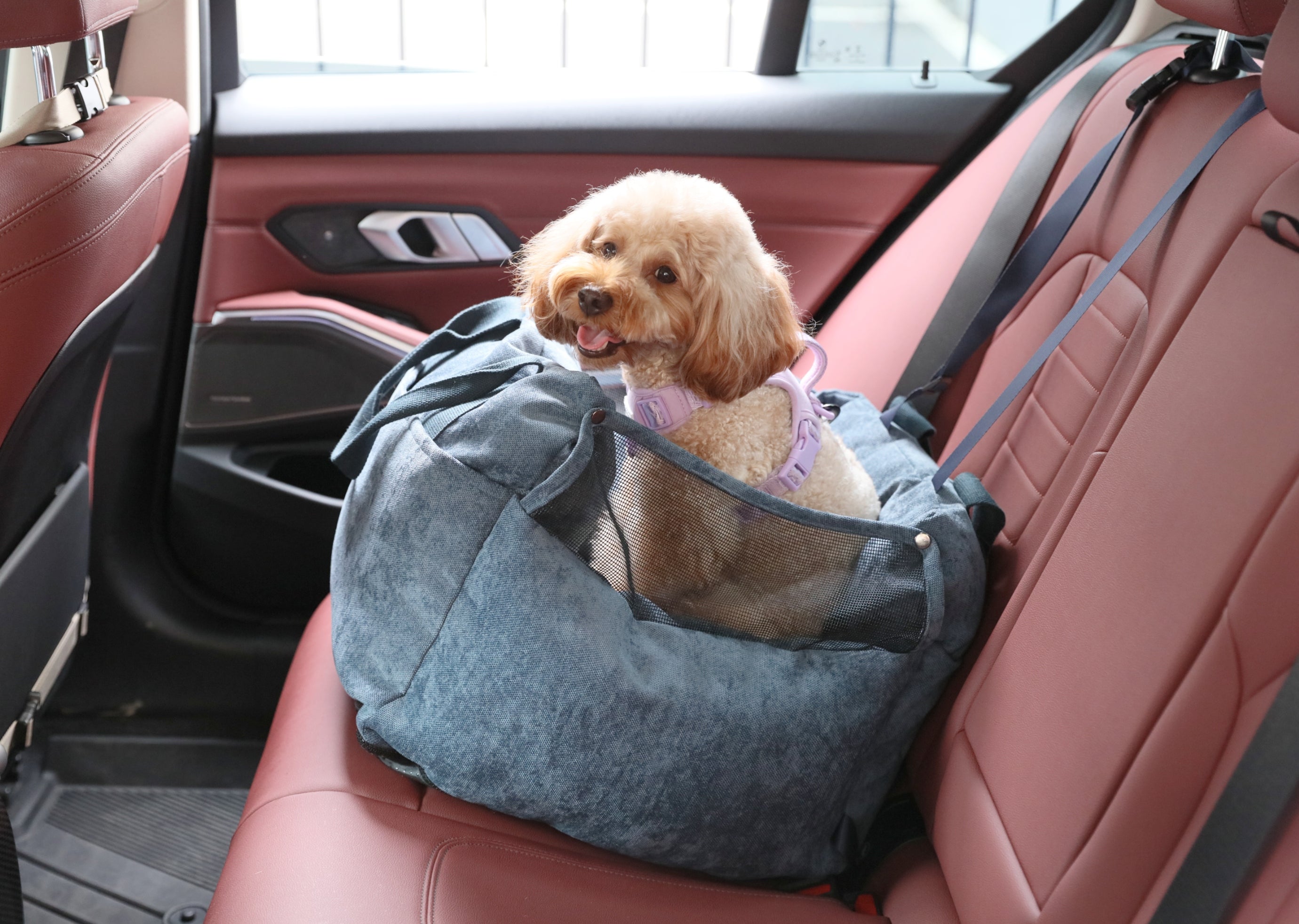 Pehom | Puff Guard Dog Car Seat - Blue