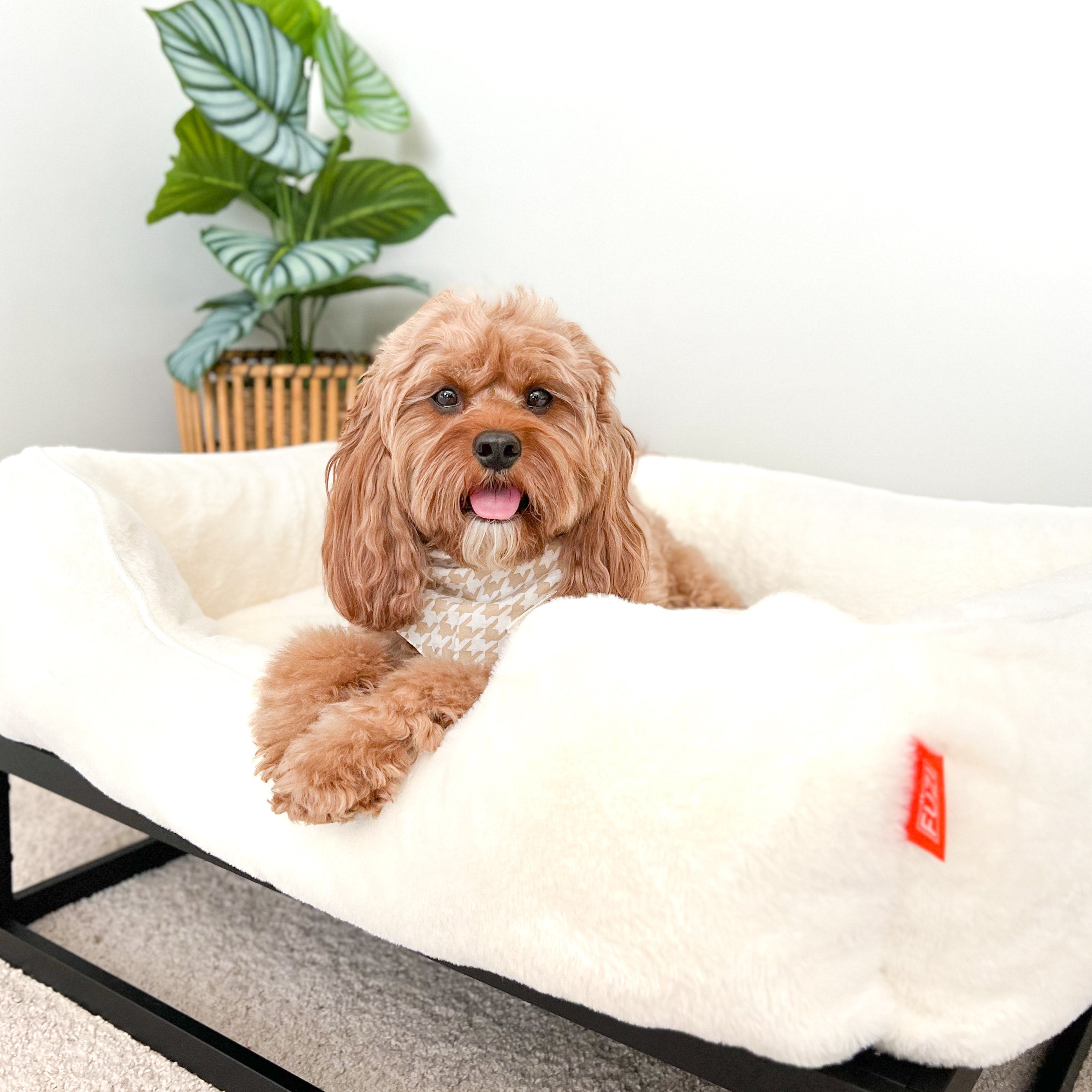 The FÜZI Pet Bed