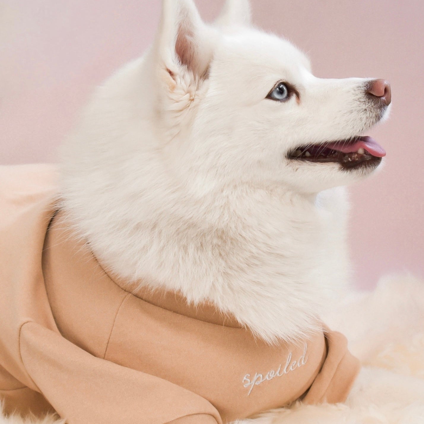 Fur Elise Mock Neck Shirt - Latte
