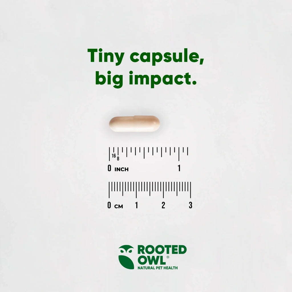 Rooted Owl® Cardio Support