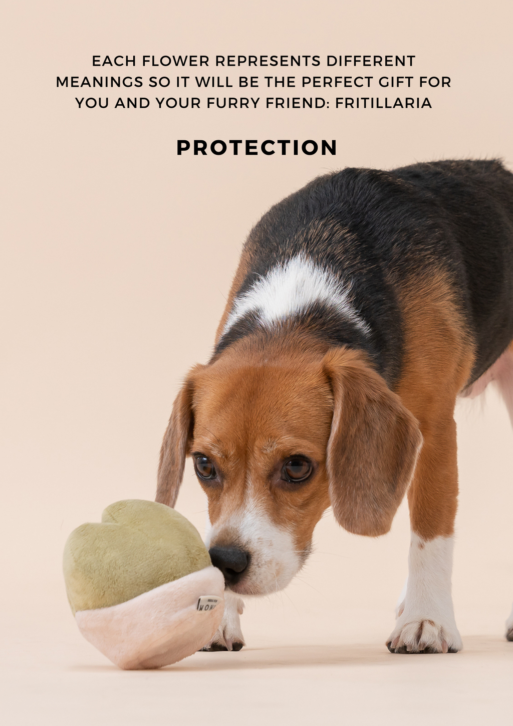 Pehom | Paradise Pet Toy - Fritillaria