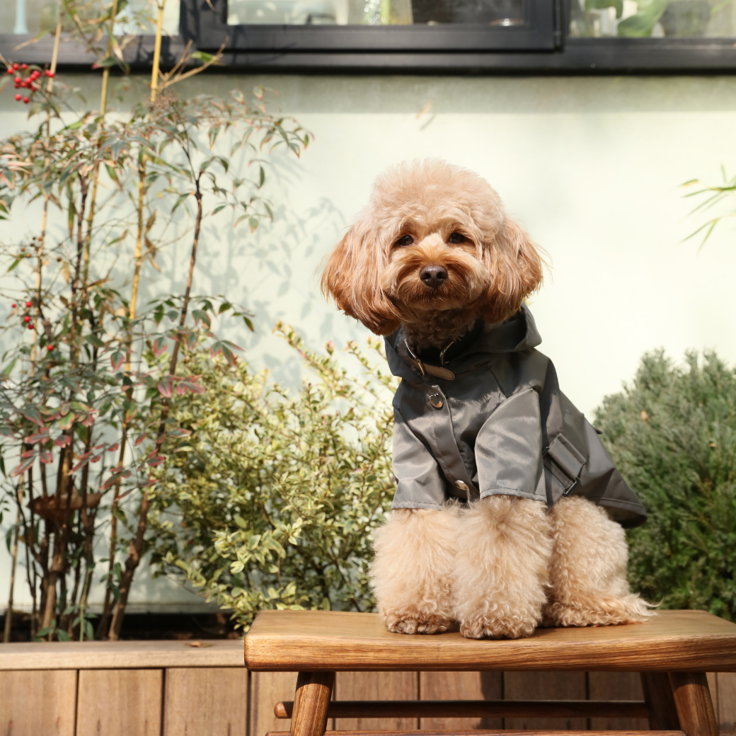 Pehom | Bowery Raincoat - Gray