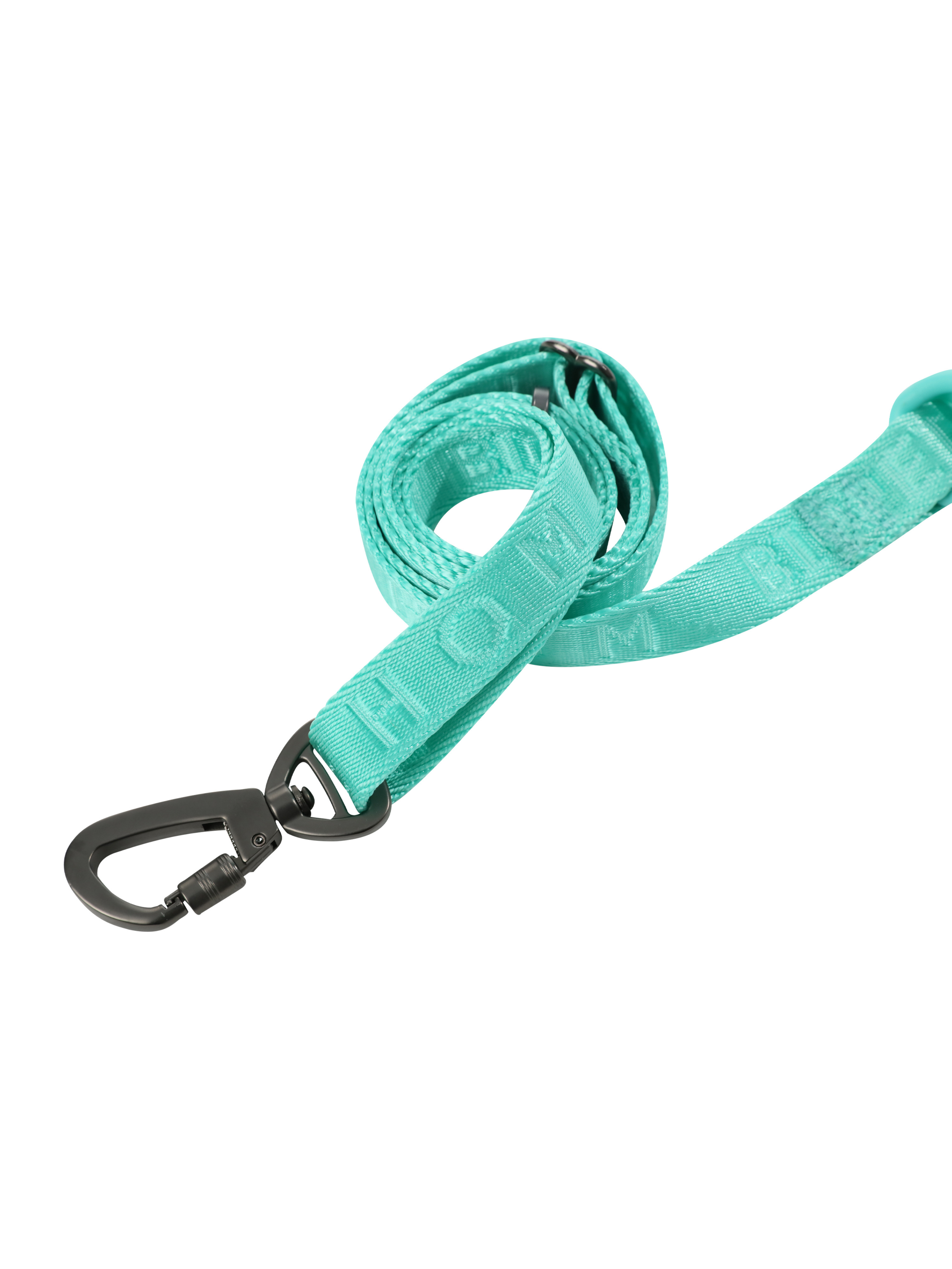 Pehom | Padded Active Pet Leash - Mint Green