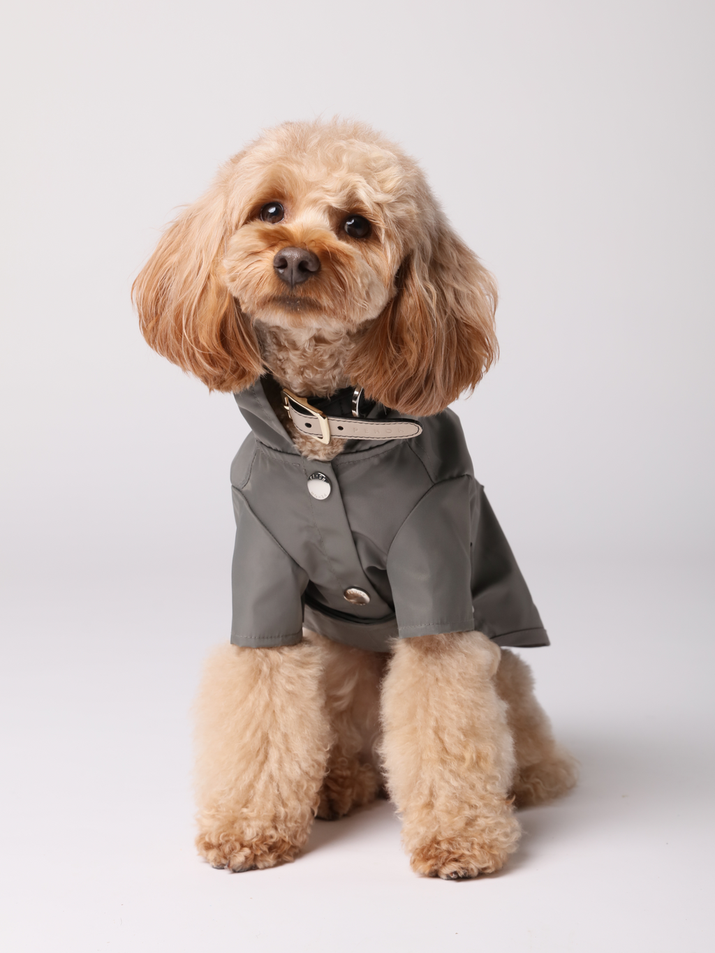Pehom | Bowery Raincoat - Gray