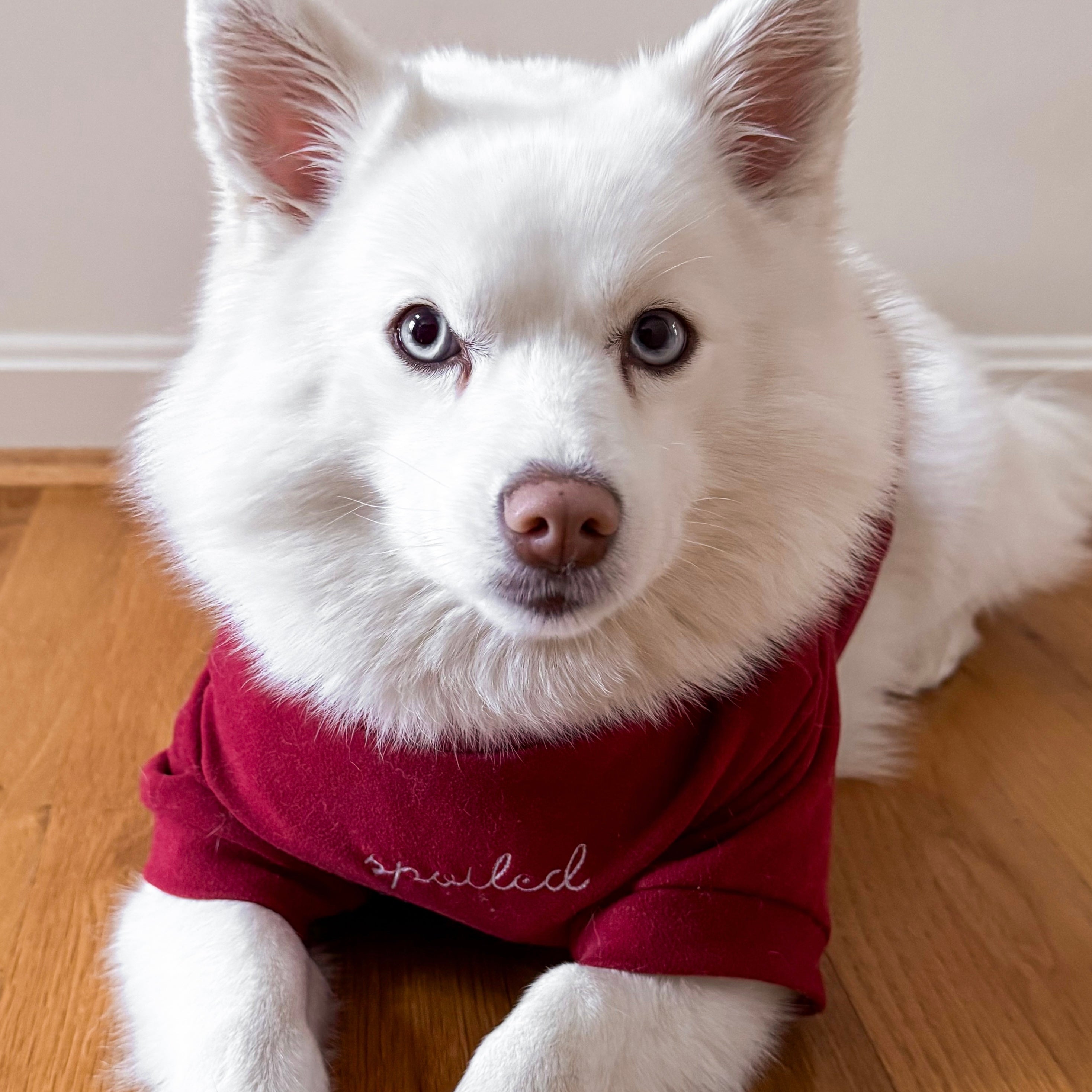 Fur Elise Mock Neck Shirt - Lucky