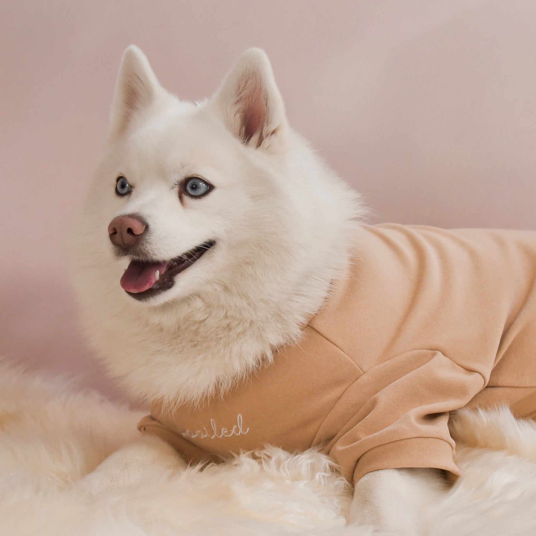 Fur Elise Mock Neck Shirt - Latte