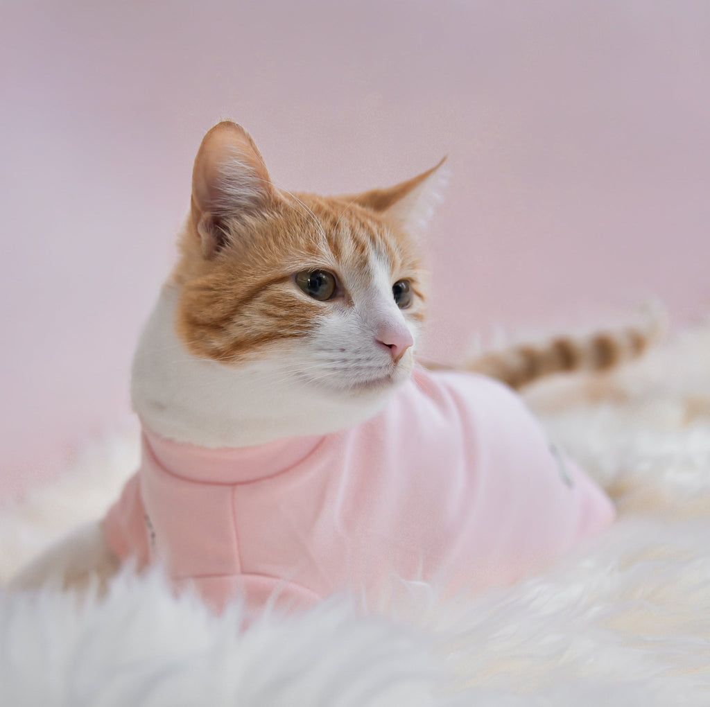 Fur Elise Mock Neck Shirt - Blush