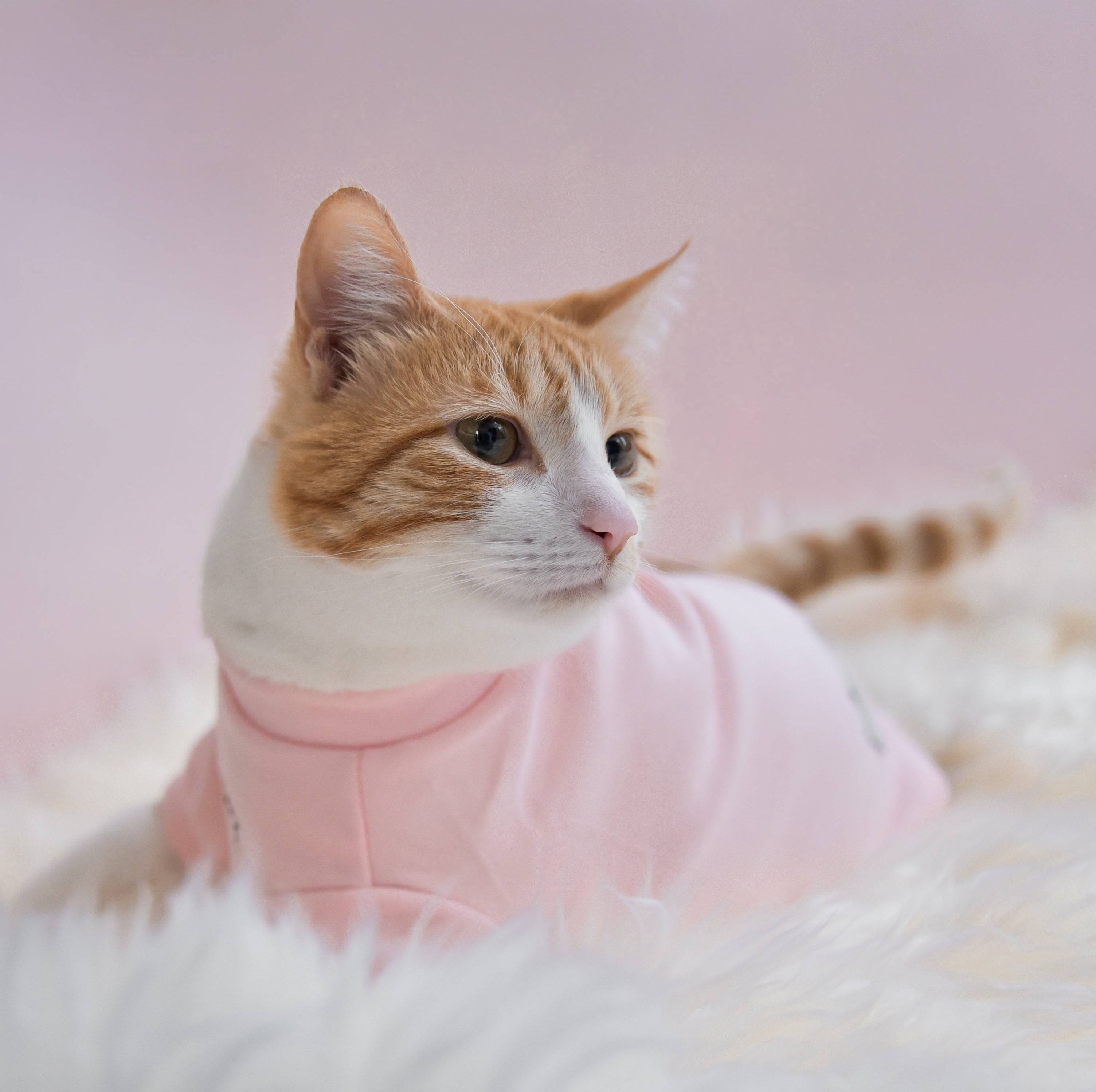 Fur Elise Mock Neck Shirt - Blush