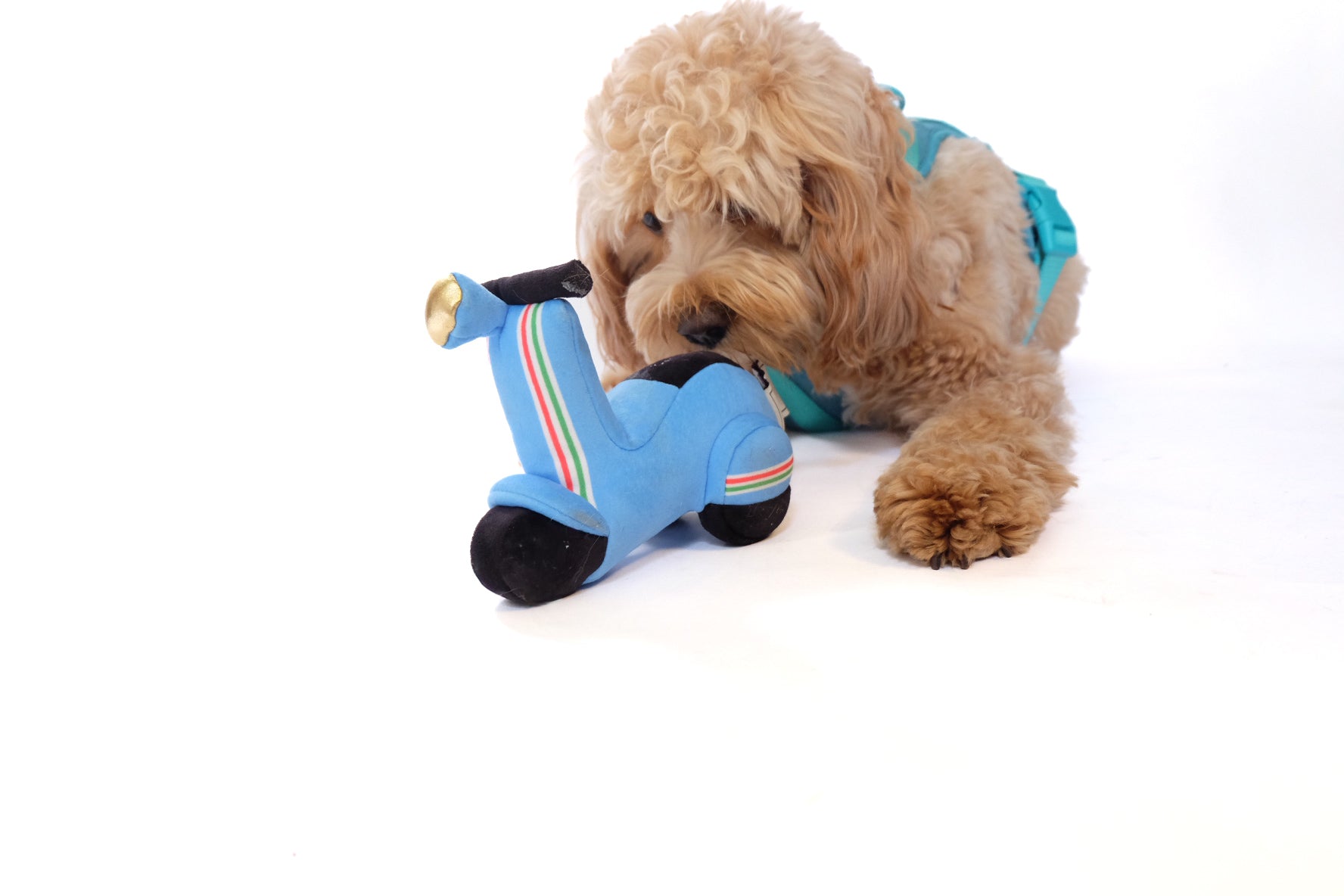 Come Here Buddy Scooter Pet Plush Toy