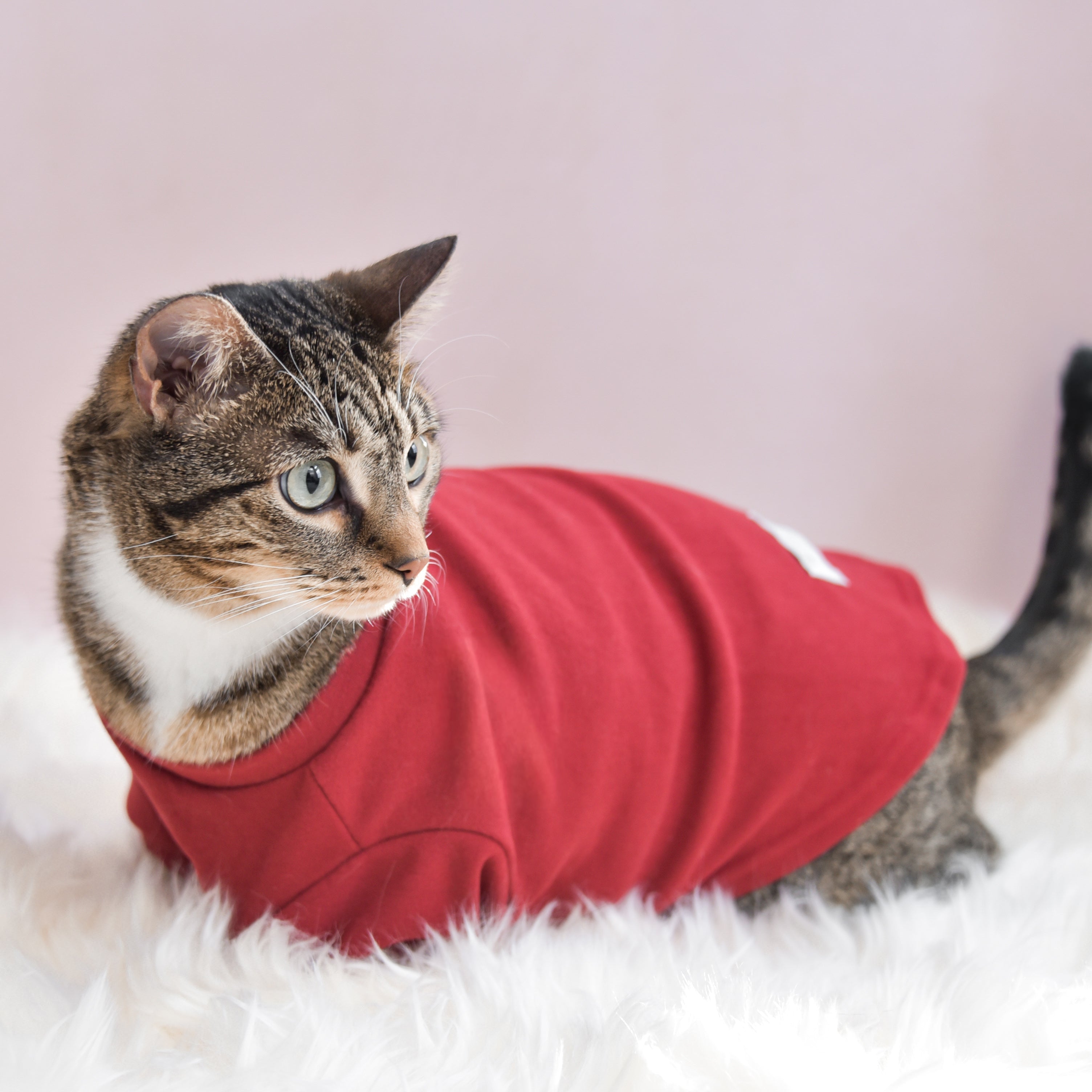 Fur Elise Mock Neck Shirt - Lucky