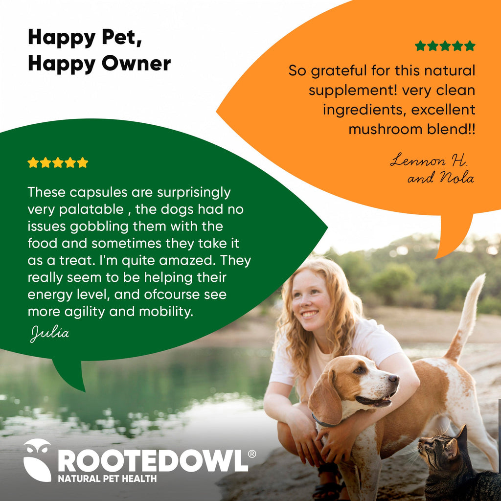 Rooted Owl® Mushroom Immune Support
