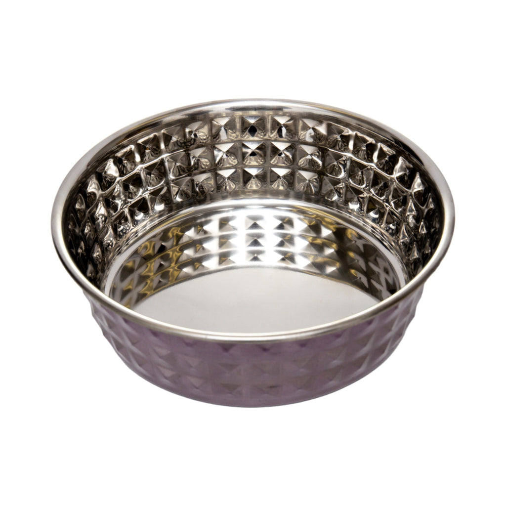 Country Living Set of 2 Hammered Stainless Steel Dog Bowls – Lavender