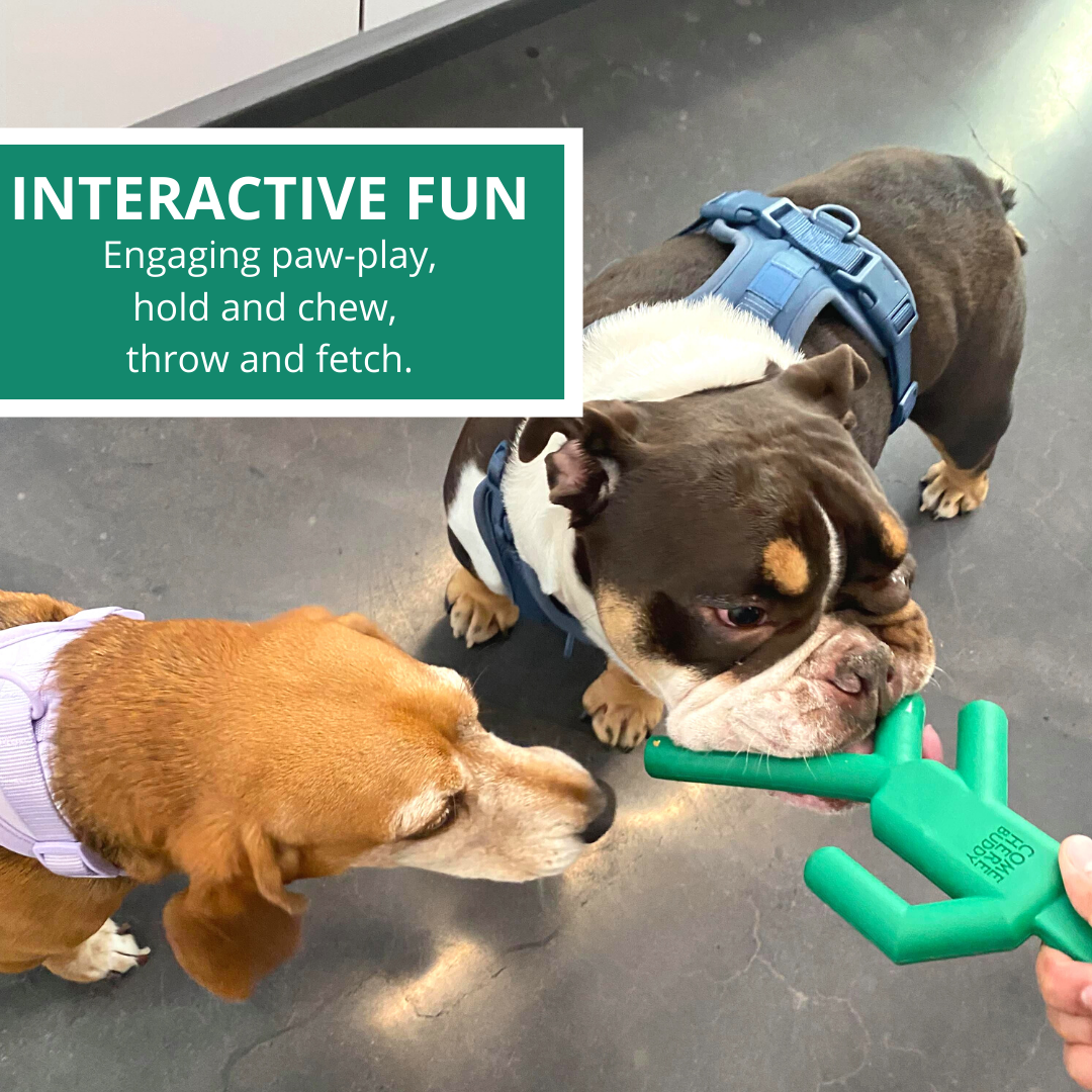 Come Here Buddy Dog Chew Toy Go Signal