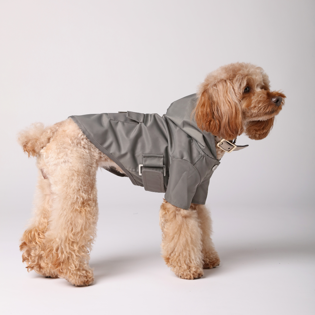 Pehom | Bowery Raincoat - Gray