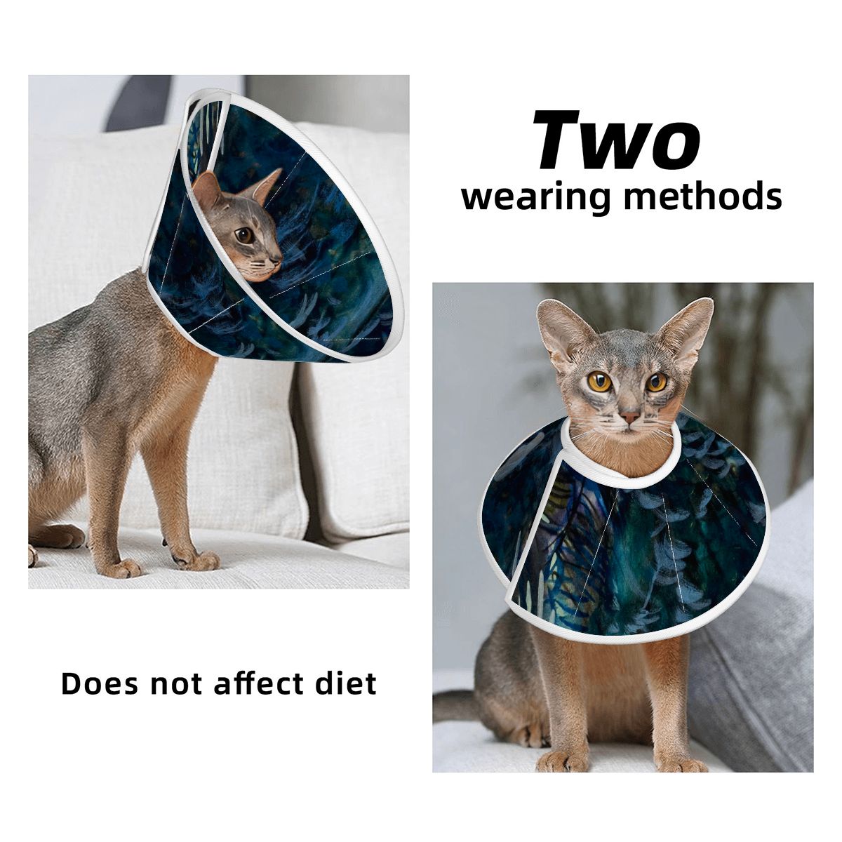 Sebastian & Clementine After-Glow Pet Elizabethan Collar