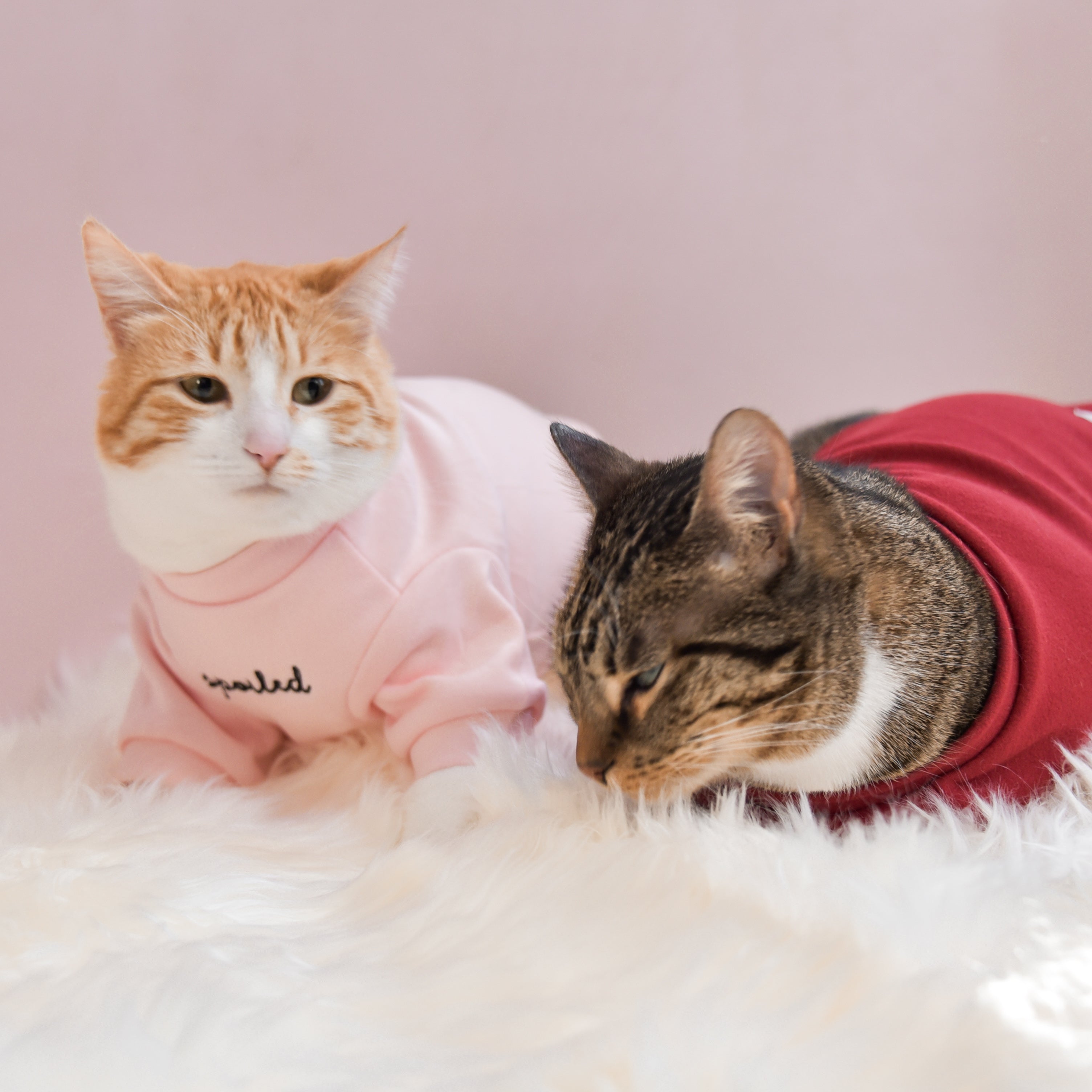 Fur Elise Mock Neck Shirt - Blush