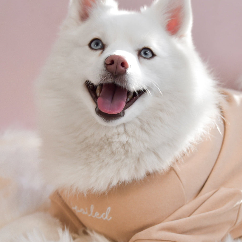 Fur Elise Mock Neck Shirt - Latte