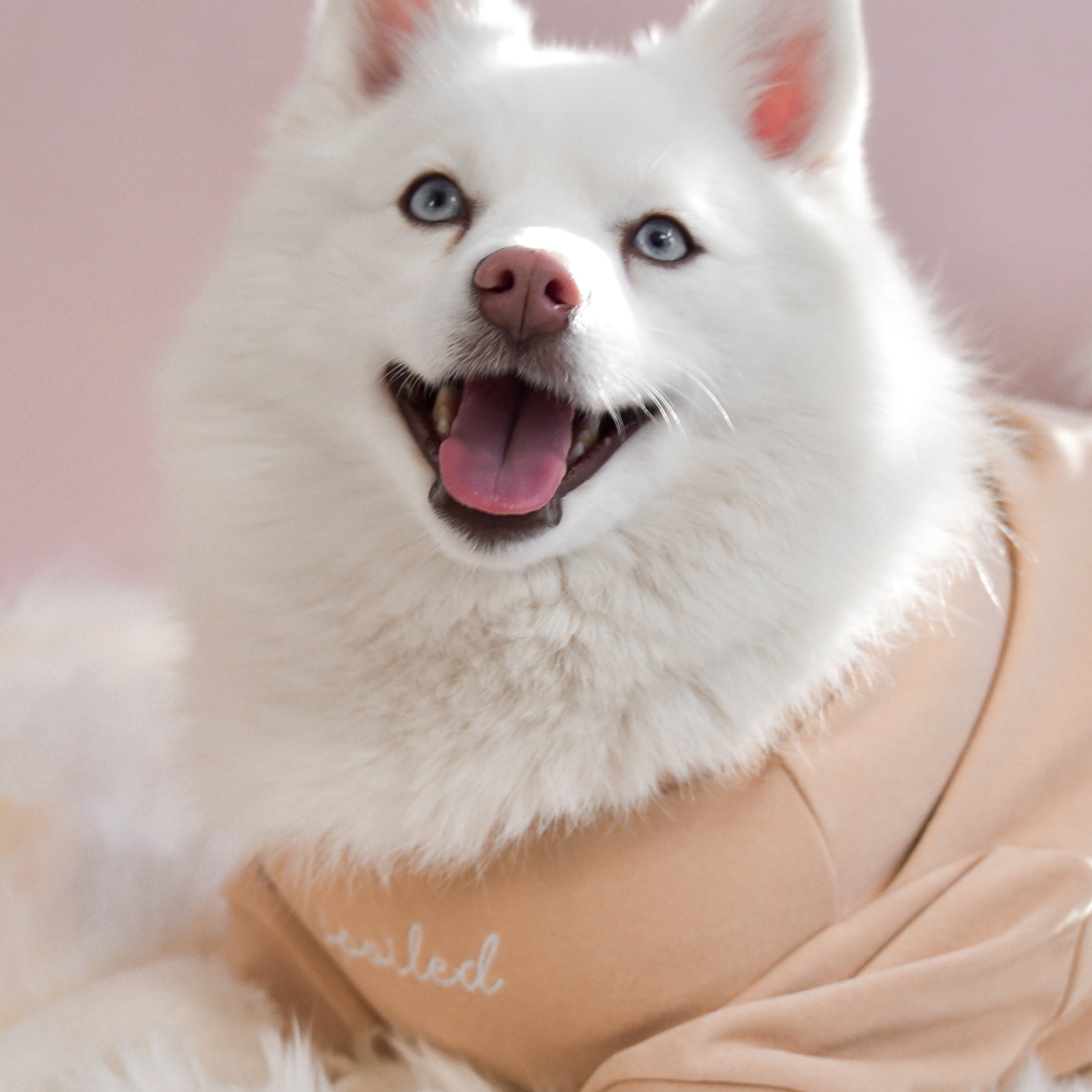 Fur Elise Mock Neck Shirt - Latte