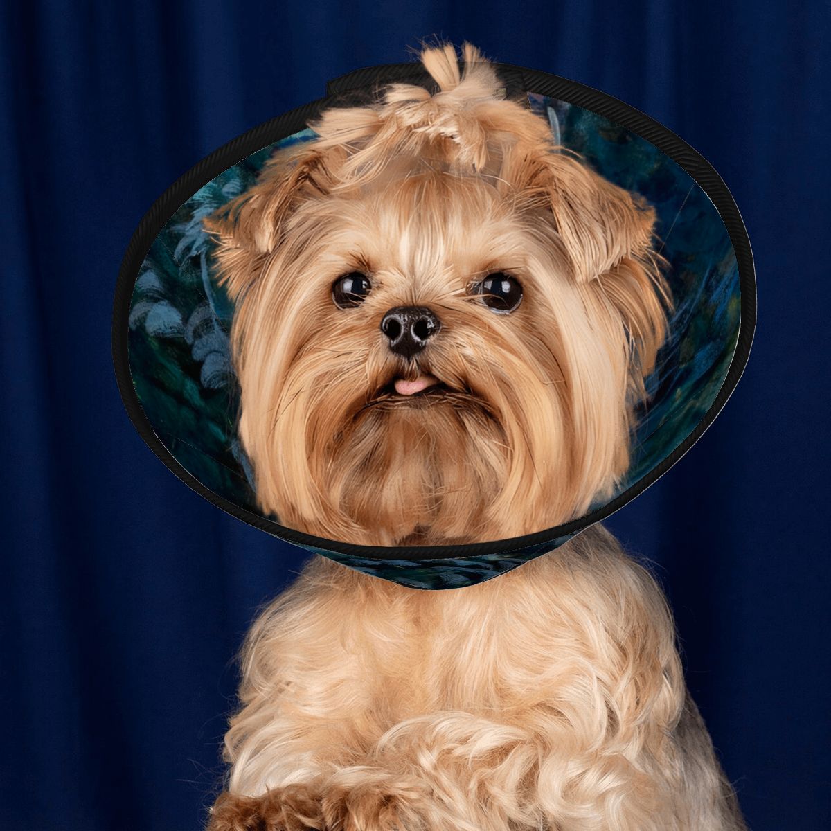 Sebastian & Clementine After-Glow Pet Elizabethan Collar