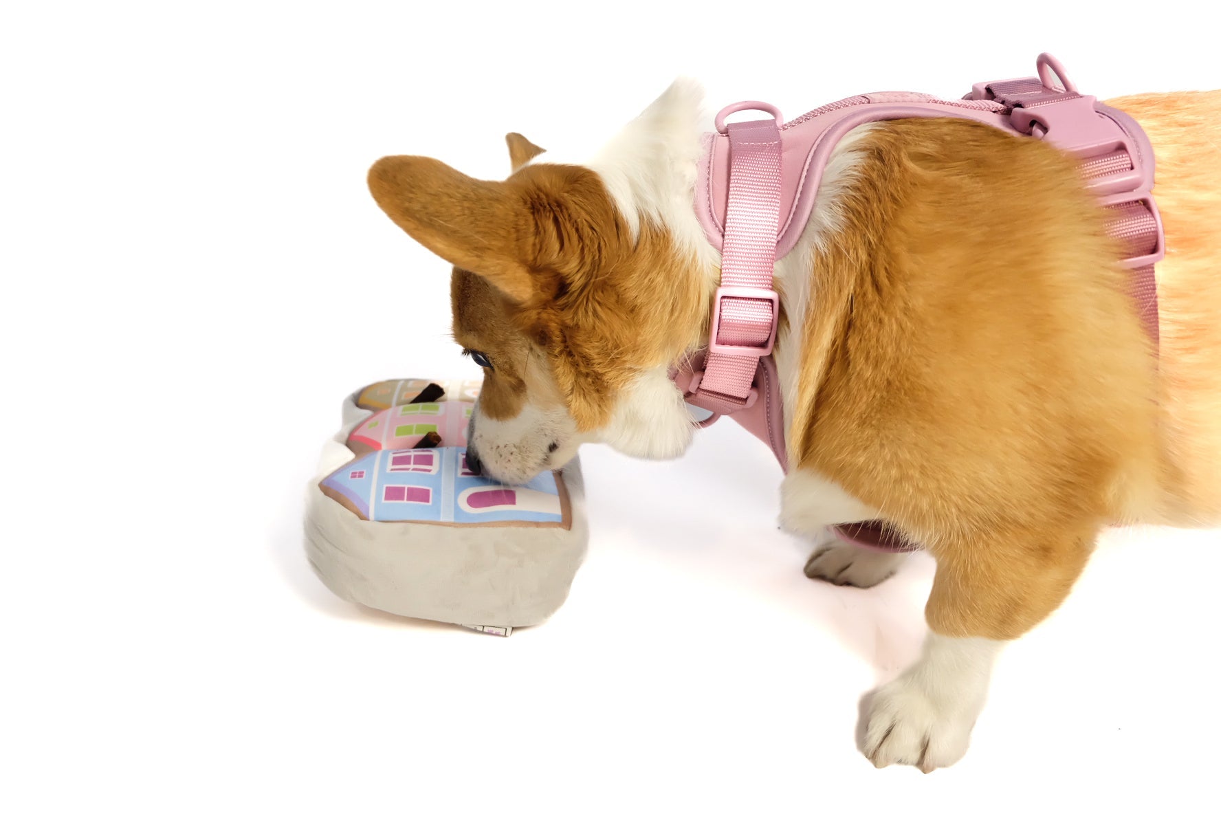 Come Here Buddy Painted Ladies Nose Work Dog Toy