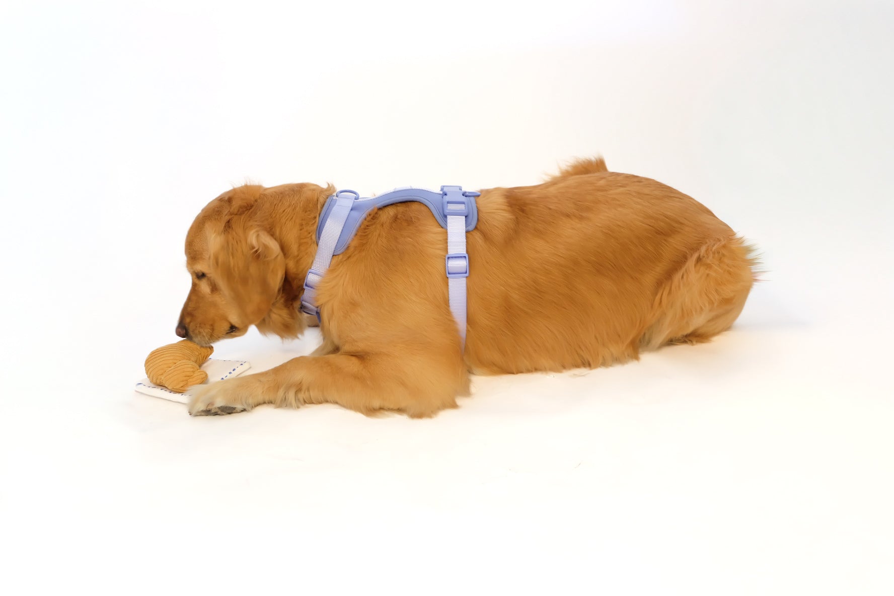Come Here Buddy Croissant Nose Work Toy / Enrichment Toy