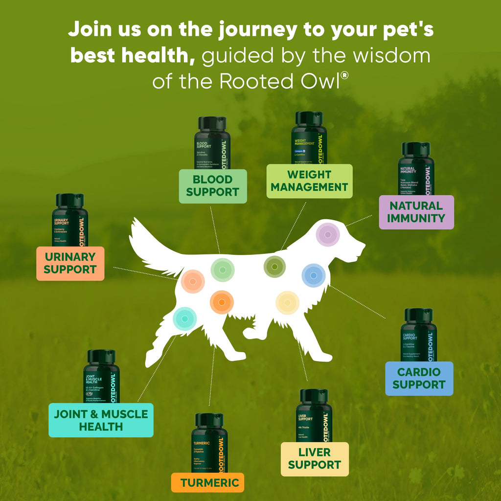 Rooted Owl® Urinary Support