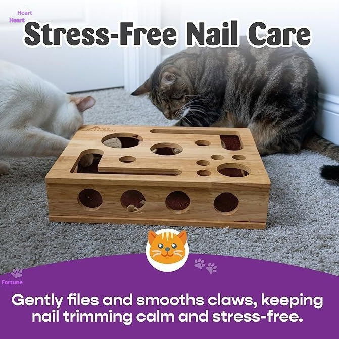 Solid Wood Maze Cat Nail File Enrichment Puzzle