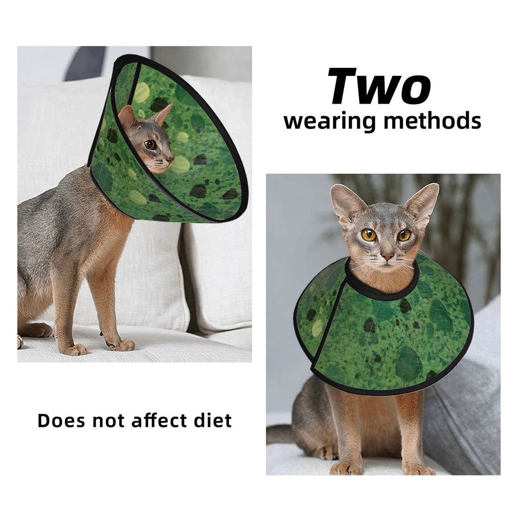 Sebastian & Clementine Green Painting Pet Elizabethan Collar