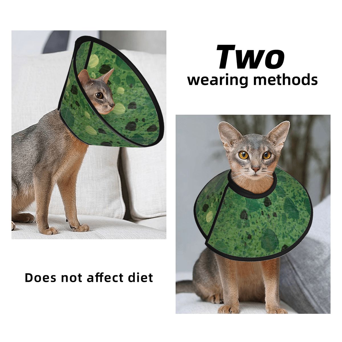 Sebastian & Clementine Green Painting Pet Elizabethan Collar